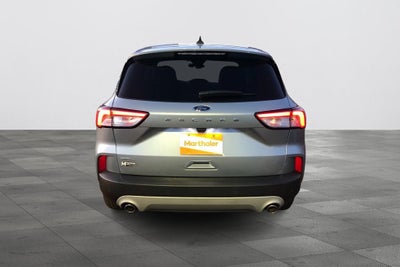 2022 Ford Escape SEL FWD