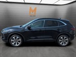 2024 Ford Escape Platinum AWD