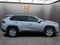 2019 Toyota RAV4 XLE AWD