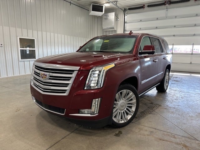 Used 2019 Cadillac Escalade Platinum with VIN 1GYS4DKJ4KR170557 for sale in Glenwood, Minnesota