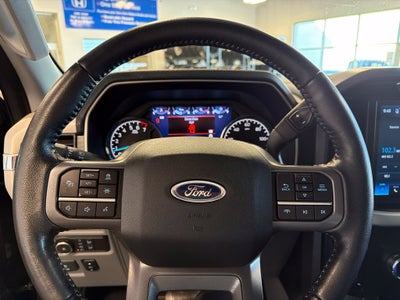 2021 Ford F-150 XLT 302A Pkg FX4