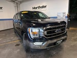 2021 Ford F-150 XLT 302A Pkg FX4