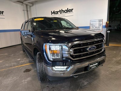 2021 Ford F-150 XLT 302A Pkg FX4