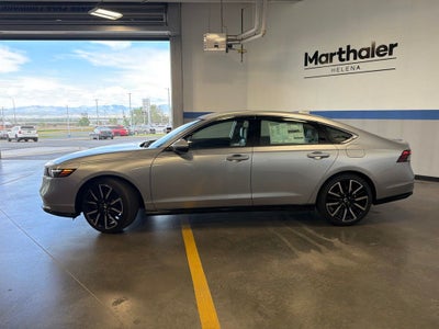 2026 Honda Accord Hybrid Touring