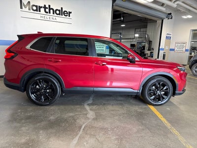 2024 Honda CR-V EX-L w/ Adaptive Cruise