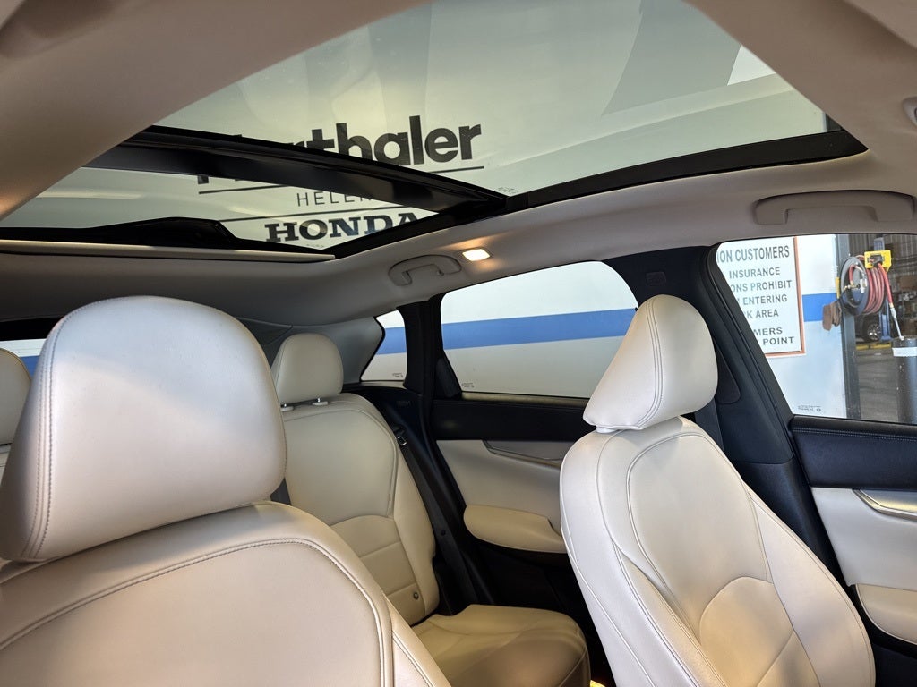 2019 INFINITI QX50 LUXE w/ Nav Pkg