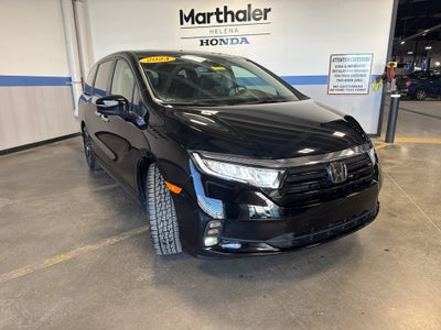 2024 Honda Odyssey EX-L