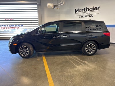 2024 Honda Odyssey EX-L
