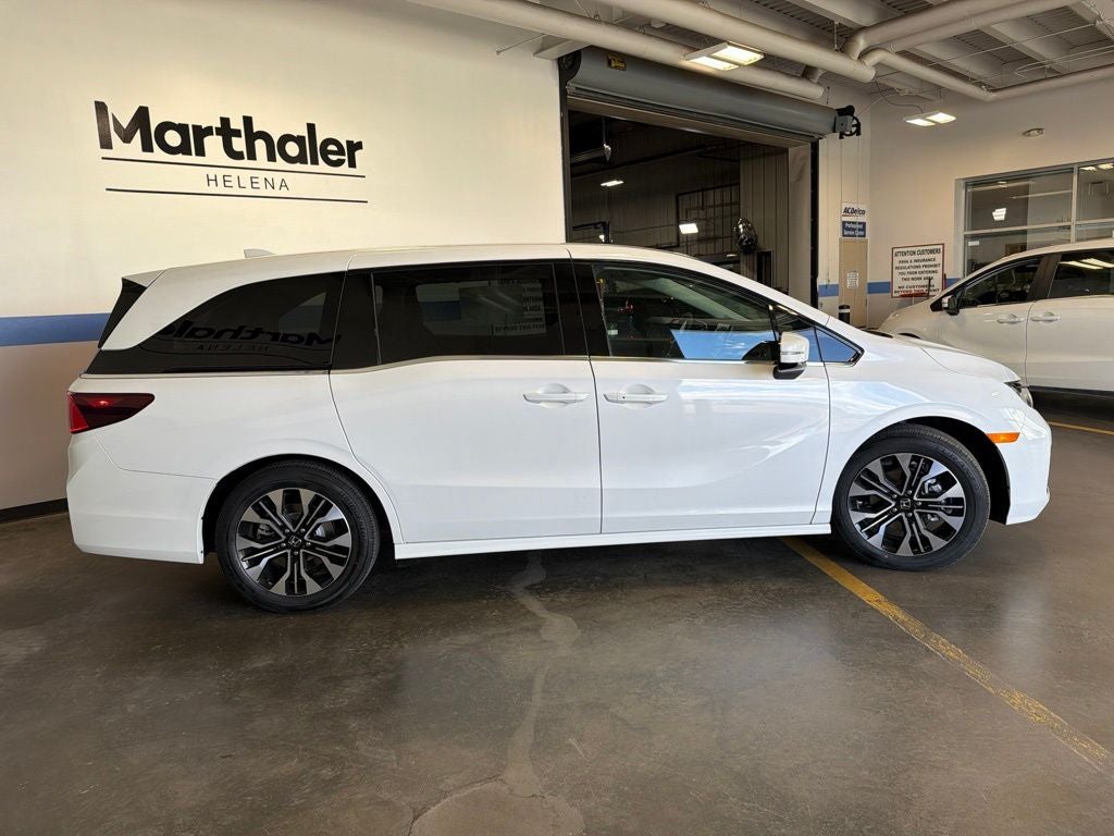 2026 Honda Odyssey Elite