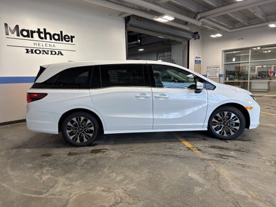 2026 Honda Odyssey Elite