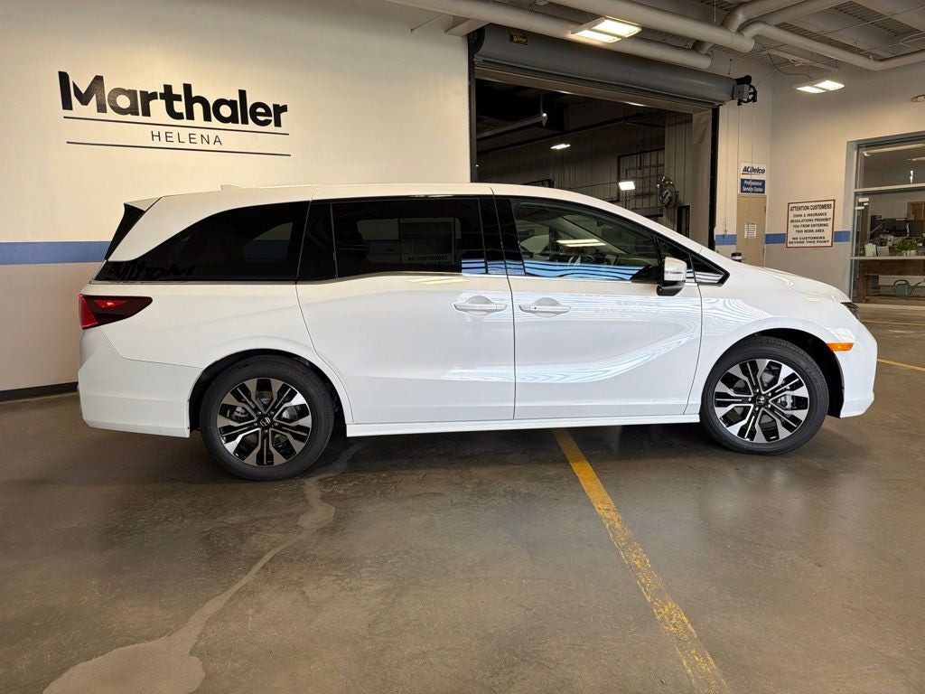 2026 Honda Odyssey Elite